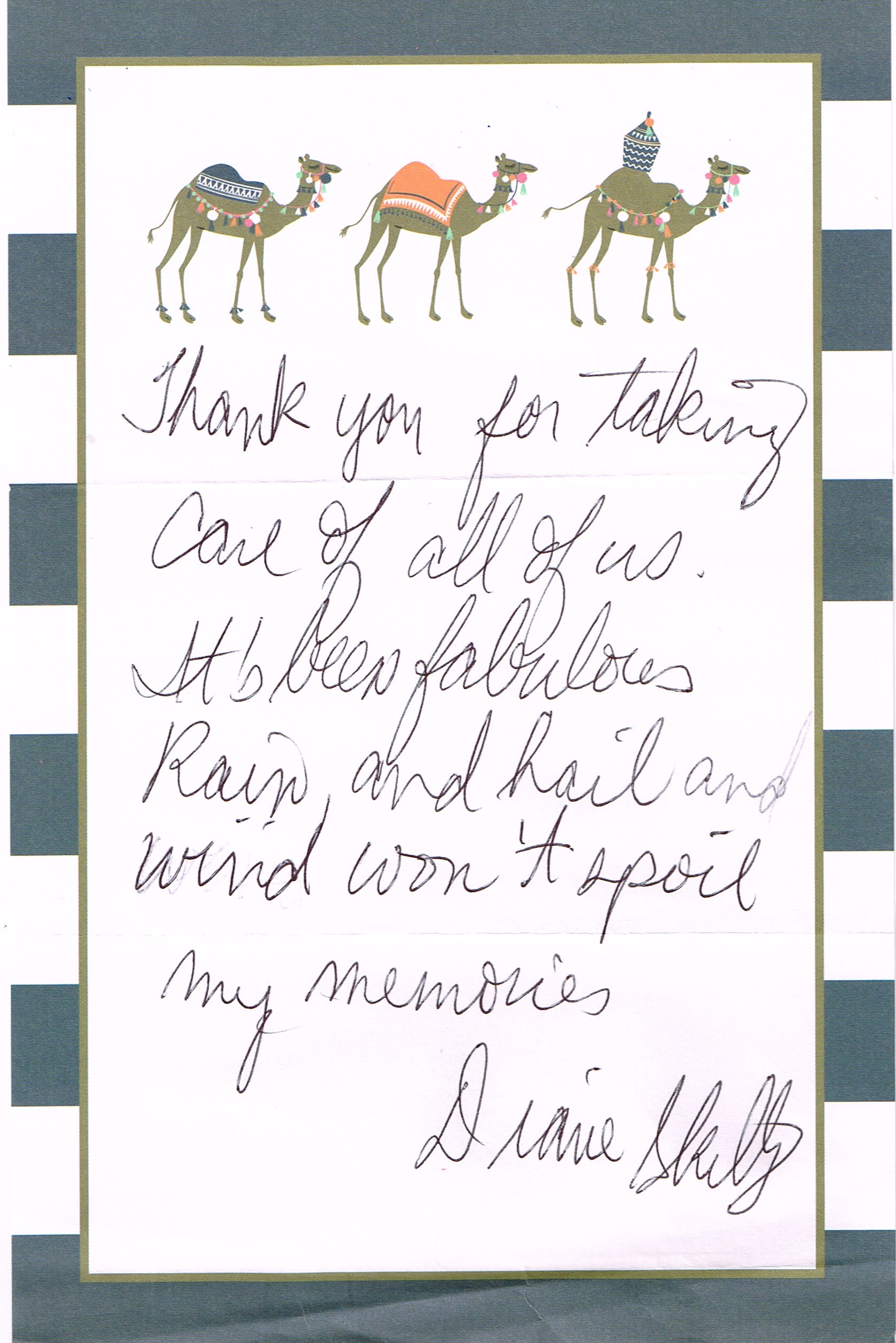 Diane Skully Testimonial